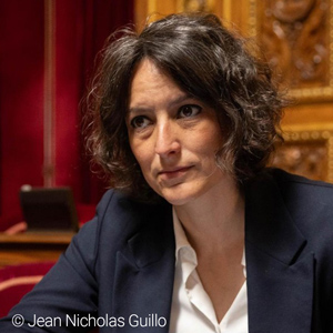 Mélanie Vogel, Sénatrice